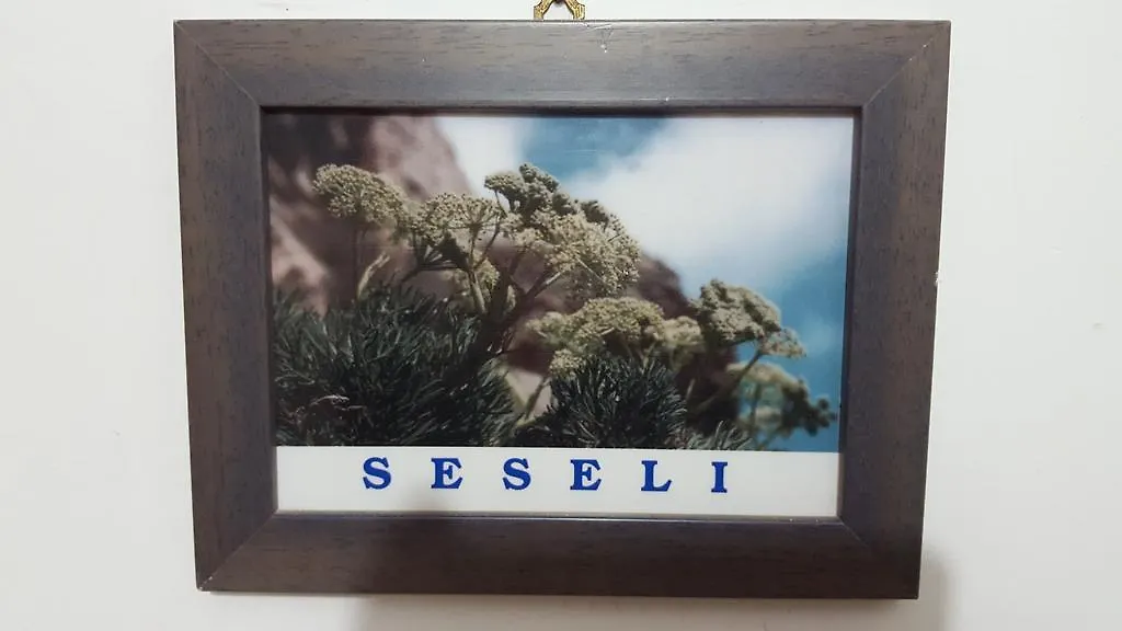 Hotel Isoladelmiele à Marettimo Italie